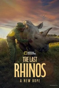 دانلود مستند The Last Rhinos A New Hope 2025439760-1375672005