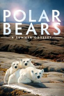 دانلود فیلم Polar Bears: A Summer Odyssey 2012441553-1889112403