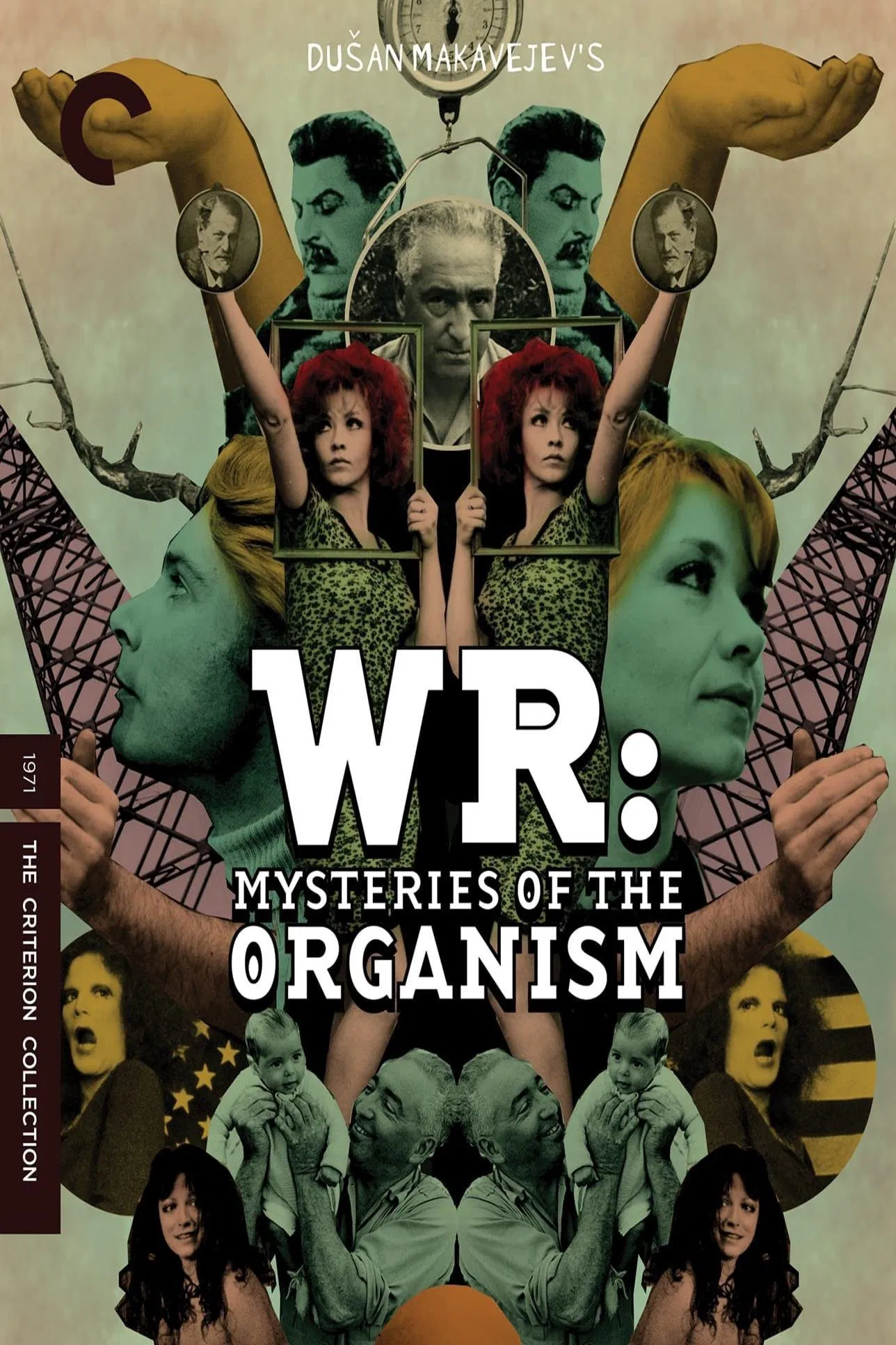 دانلود فیلم WR: Mysteries of the Organism 1971