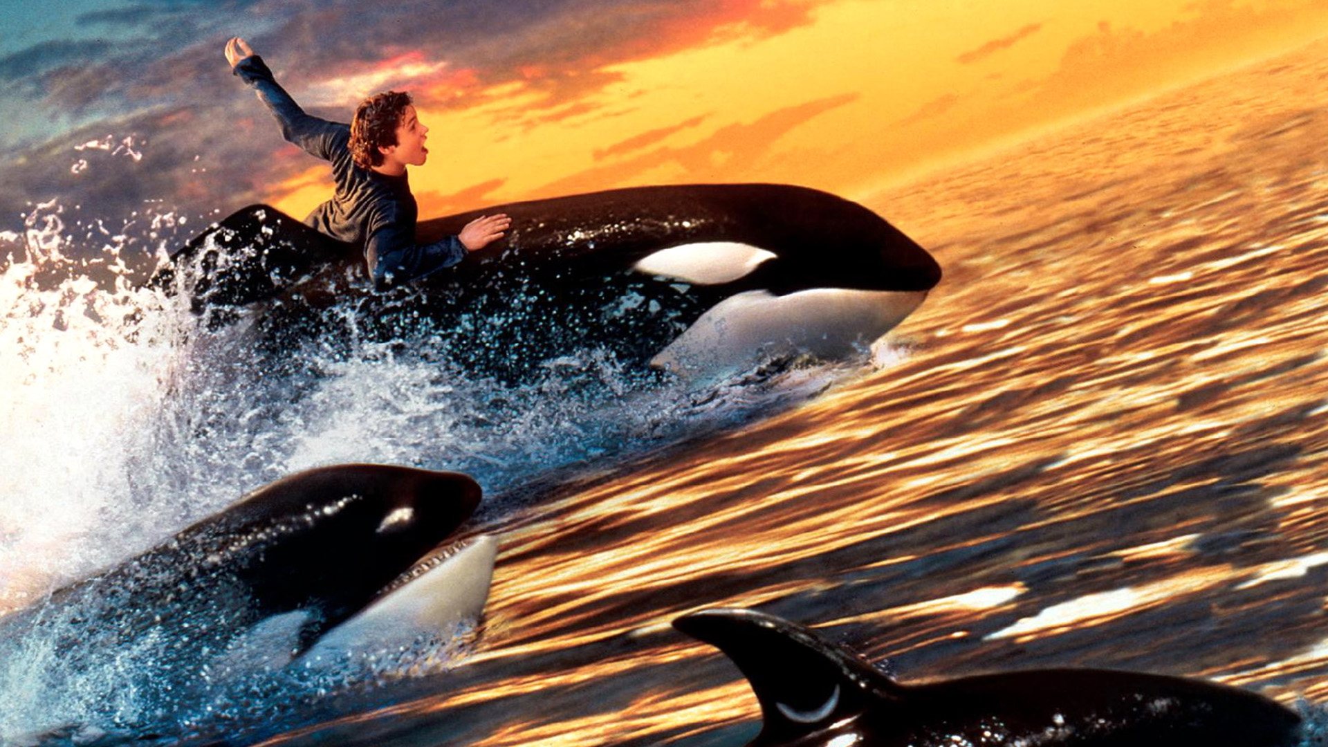 دانلود فیلم Free Willy 2: The Adventure Home 1995