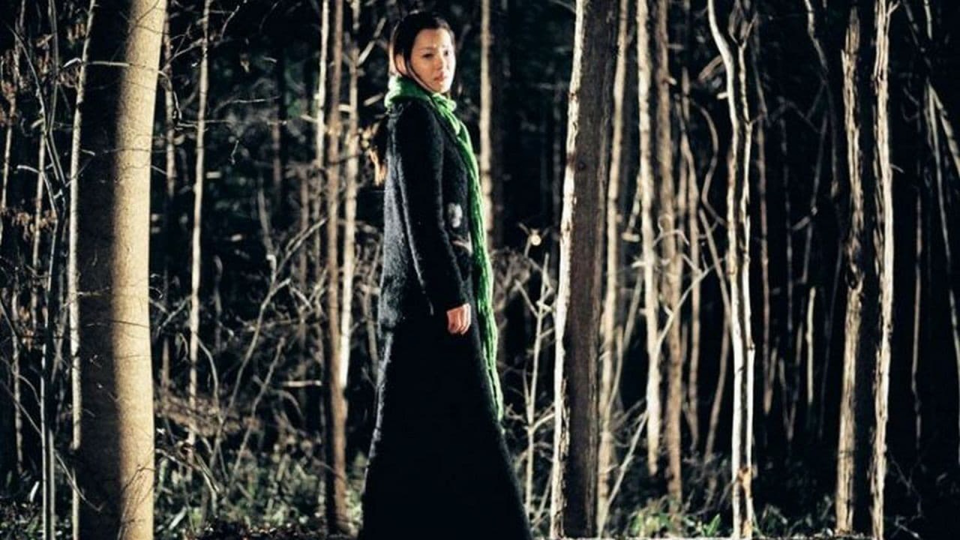 دانلود فیلم کره‌ای Spider Forest 2004