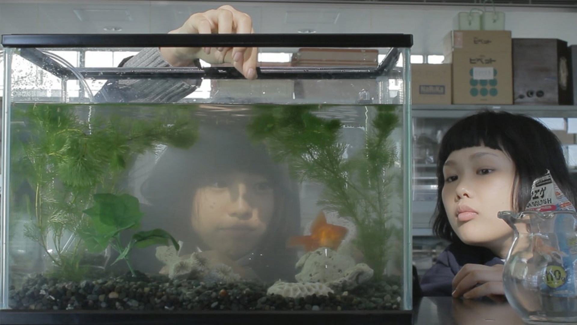 دانلود فیلم Shady 2012