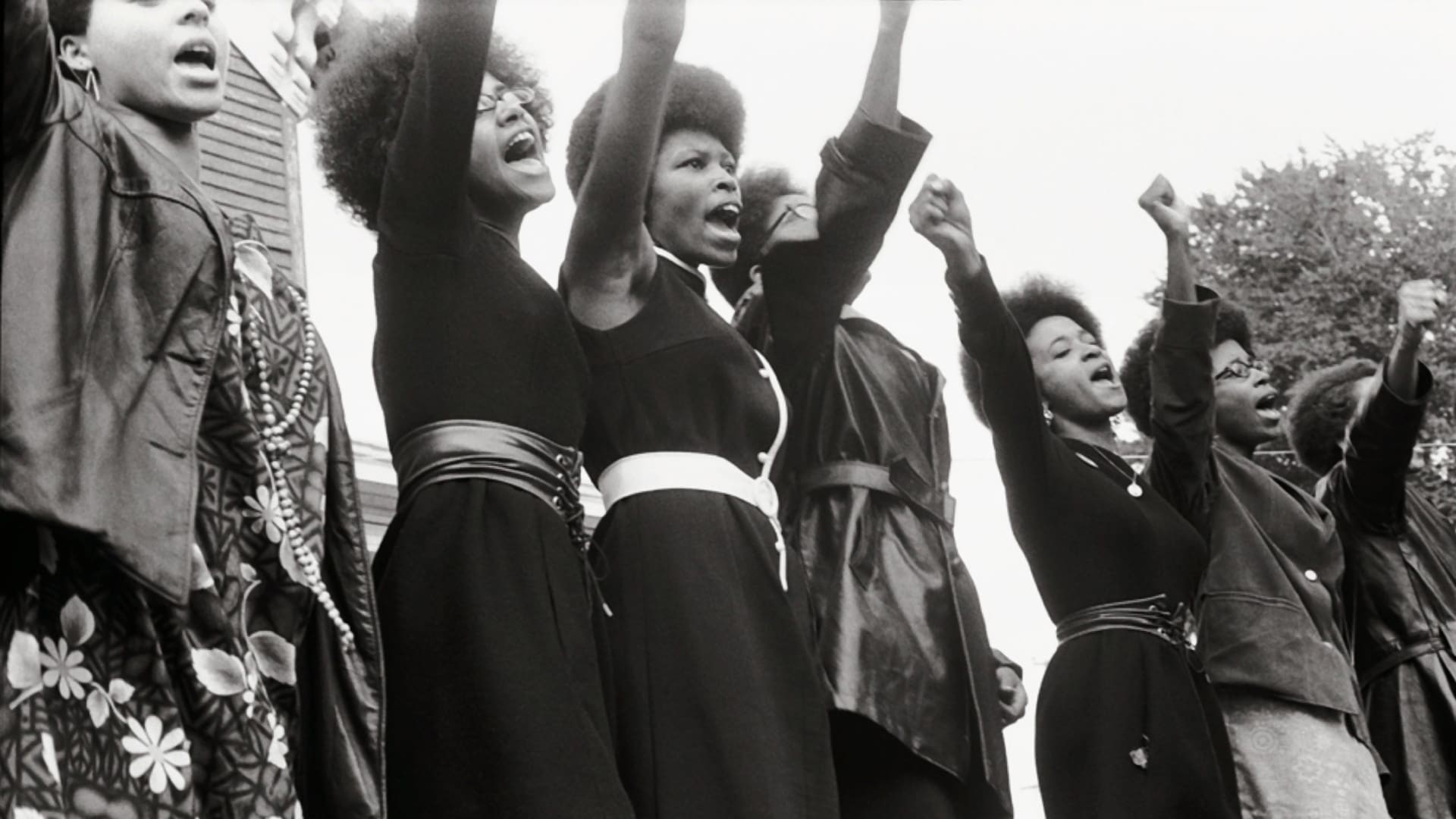 دانلود مستند The Black Panthers: Vanguard of the Revolution 2015