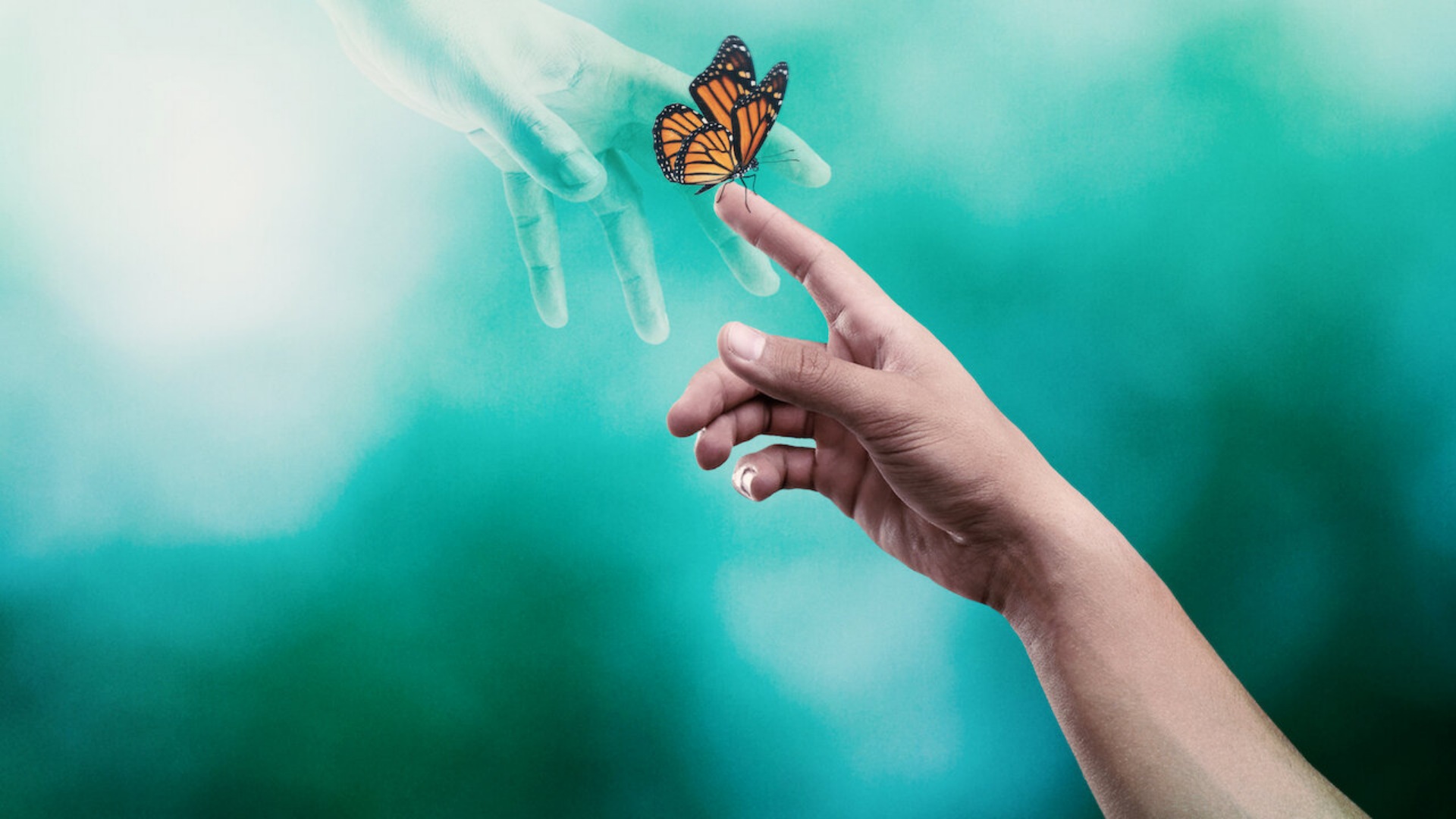 دانلود مستند Surviving Death