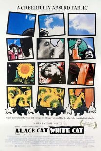 دانلود فیلم Black Cat, White Cat 1998444406-572972934
