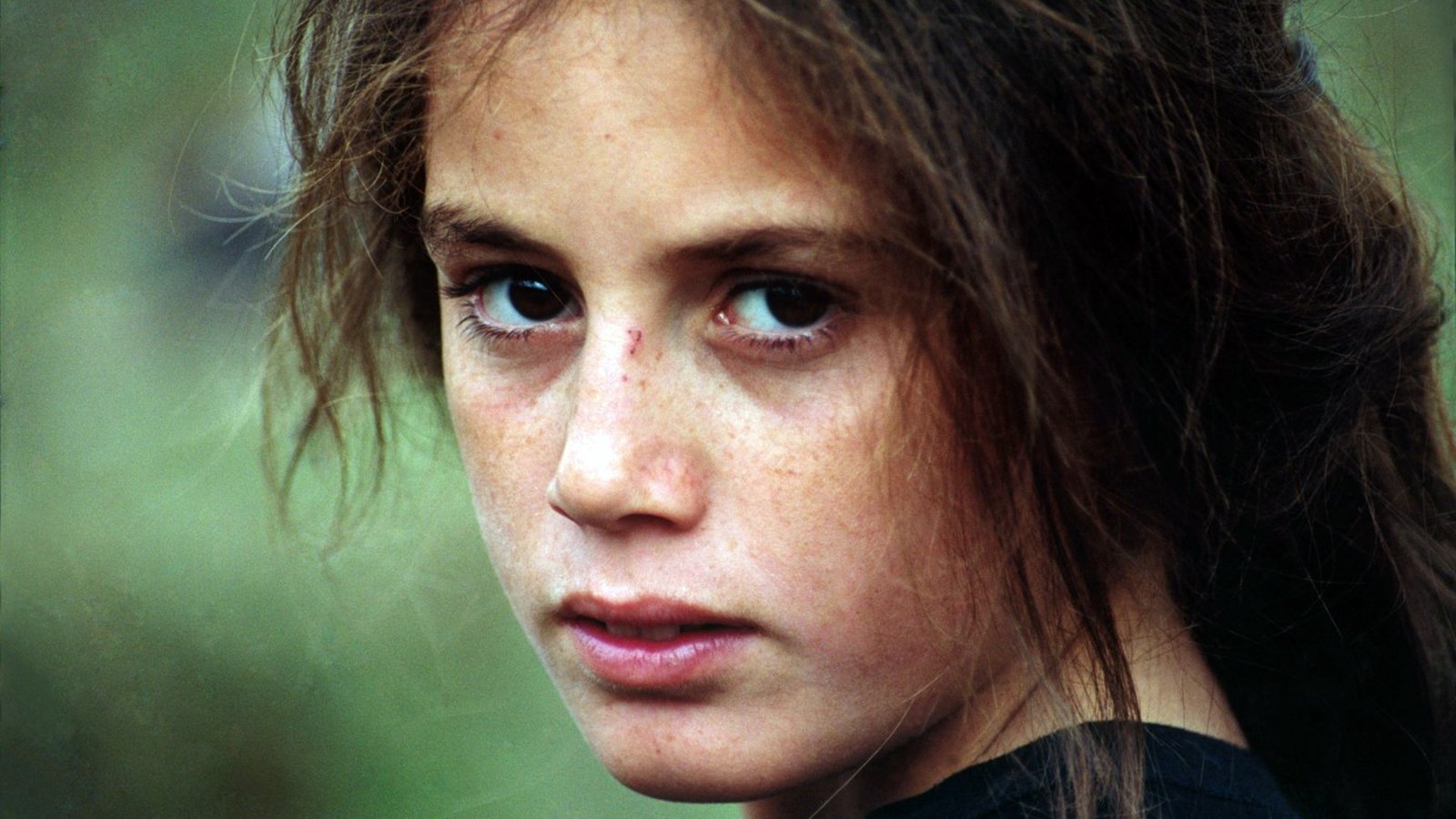 دانلود فیلم Turtles Can Fly 2004