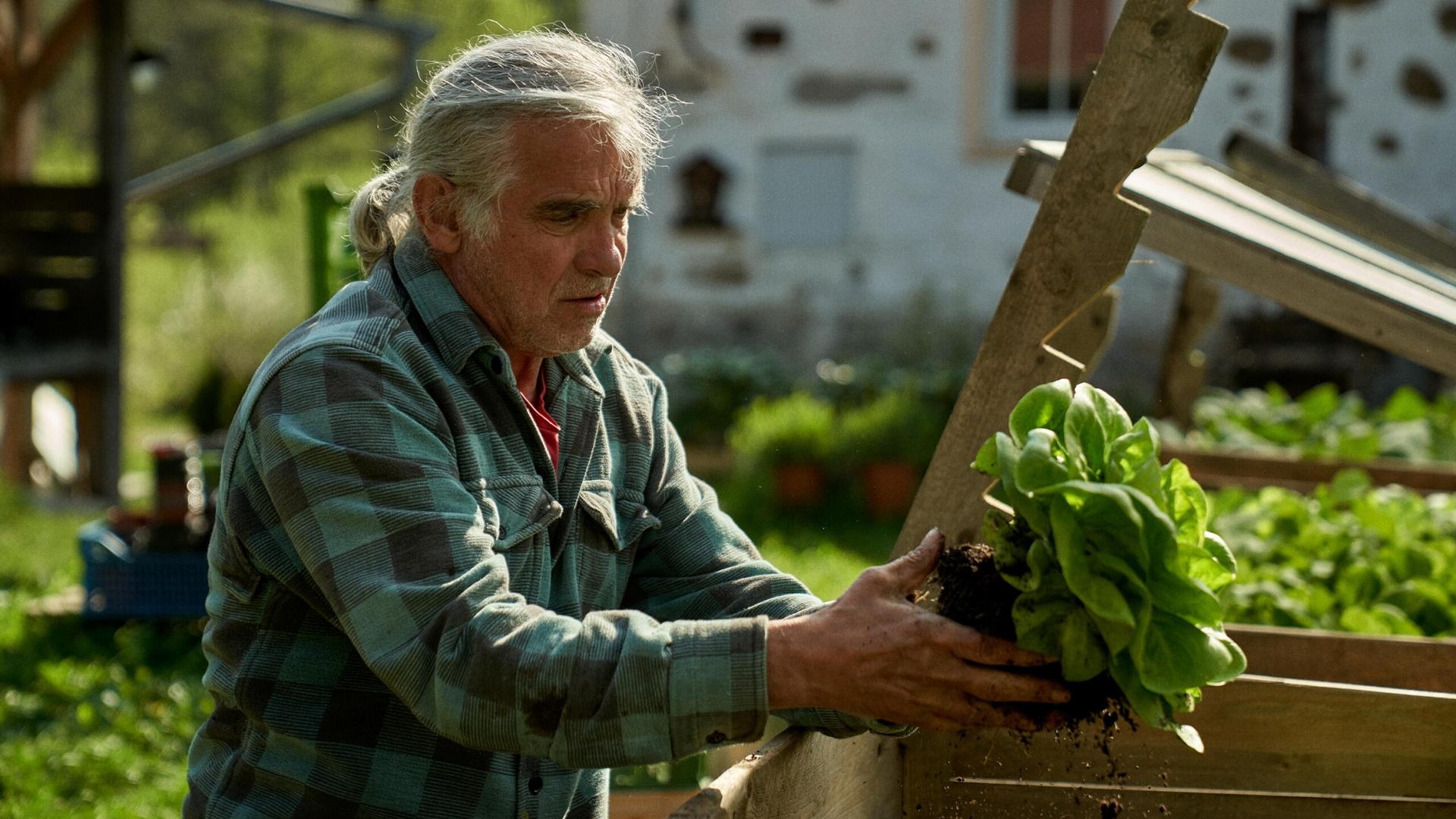 دانلود فیلم The Gardener’s Year (Zahradníkuv rok) 2024