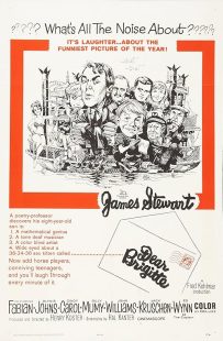 دانلود فیلم Dear Brigitte 1965449783-158340113