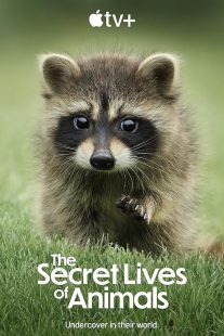 دانلود مستند The Secret Lives of Animals448835-1056908847